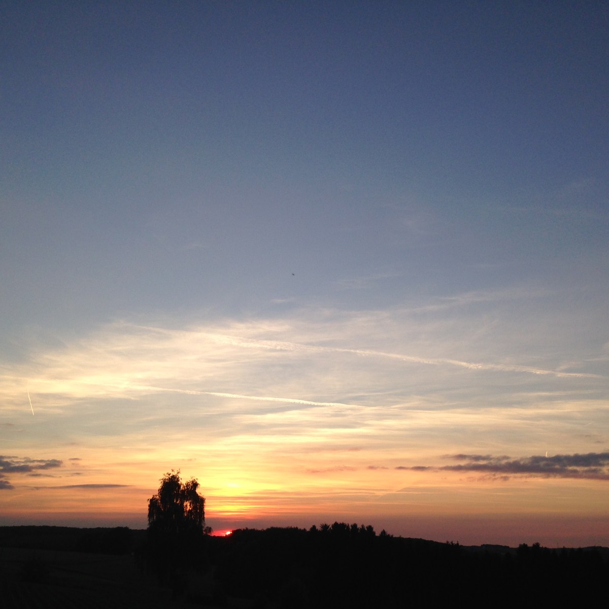 Spaziergang in den Sonnenuntergang