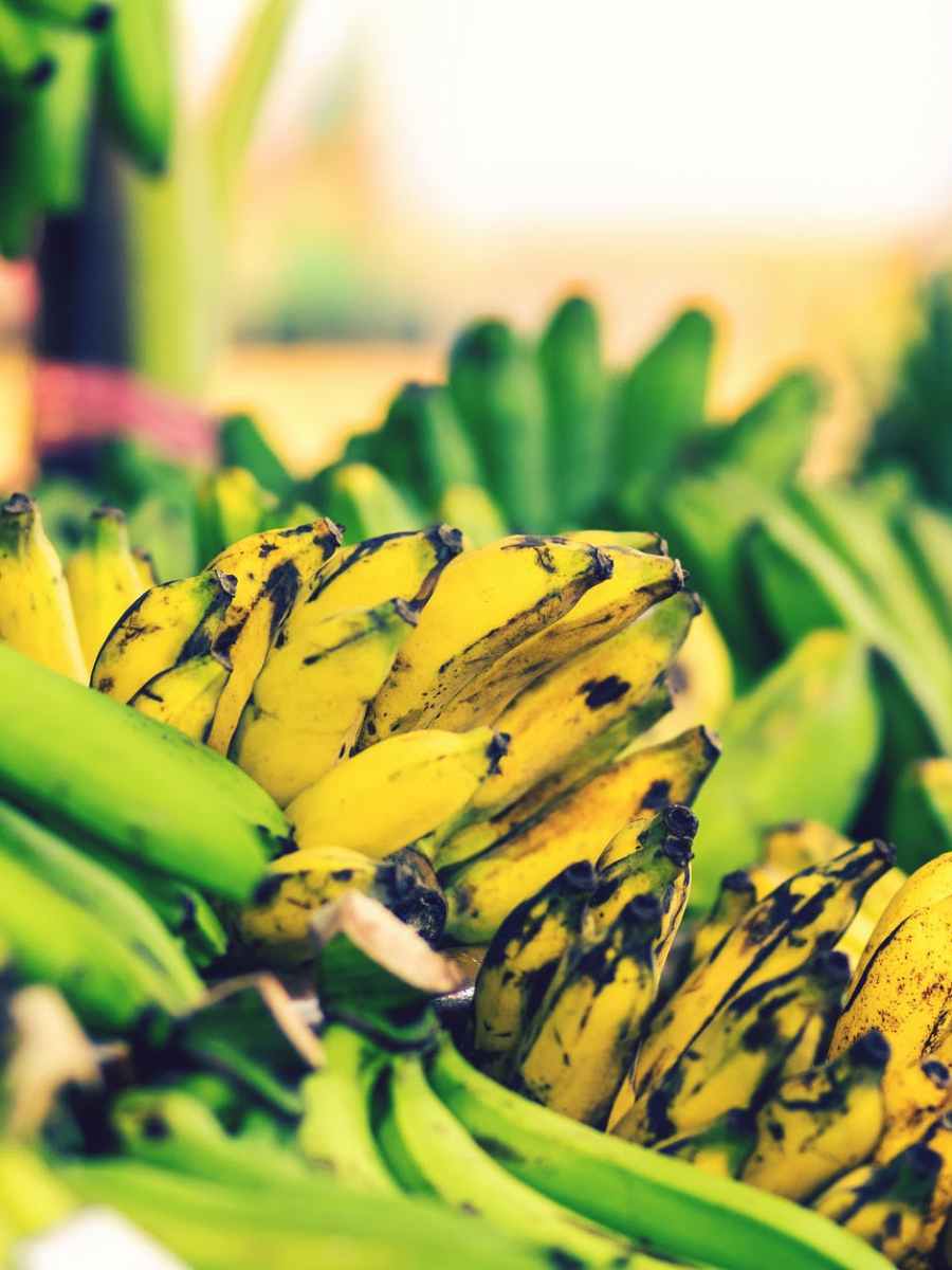 Leckeres aus Vanuatu