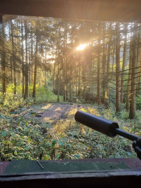 Der Wald, das Wild & die Jagd