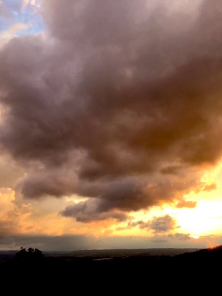 Wanderung vom Sayntal zur Bismarckhöhe auf dem Friedrichsberg