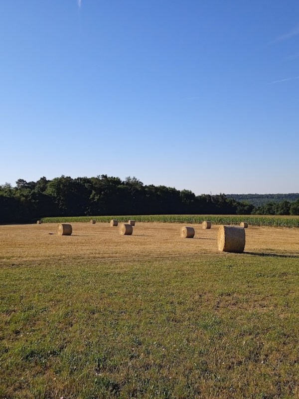 1. Oktober 2023 | Erntedank | Ein Fest für Gottes Schöpfung