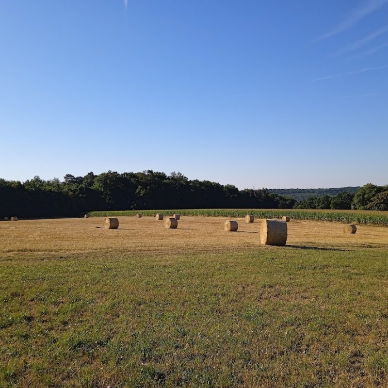 1. Oktober 2023 | Erntedank | Ein Fest für Gottes Schöpfung