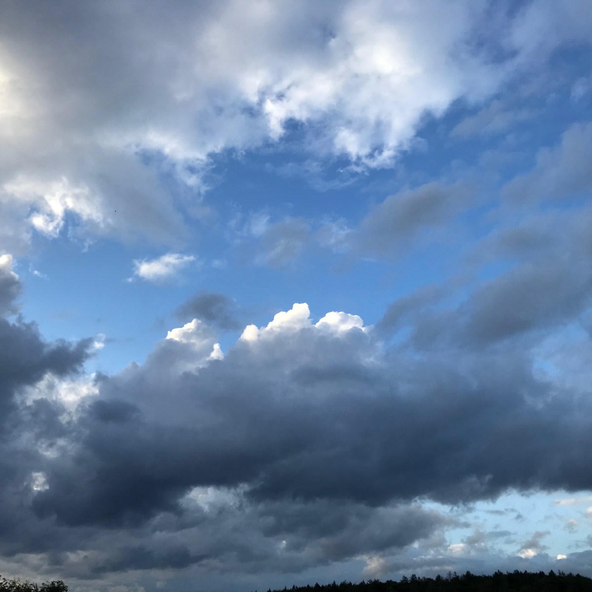 Traumpfädchen Sayner Aussichten