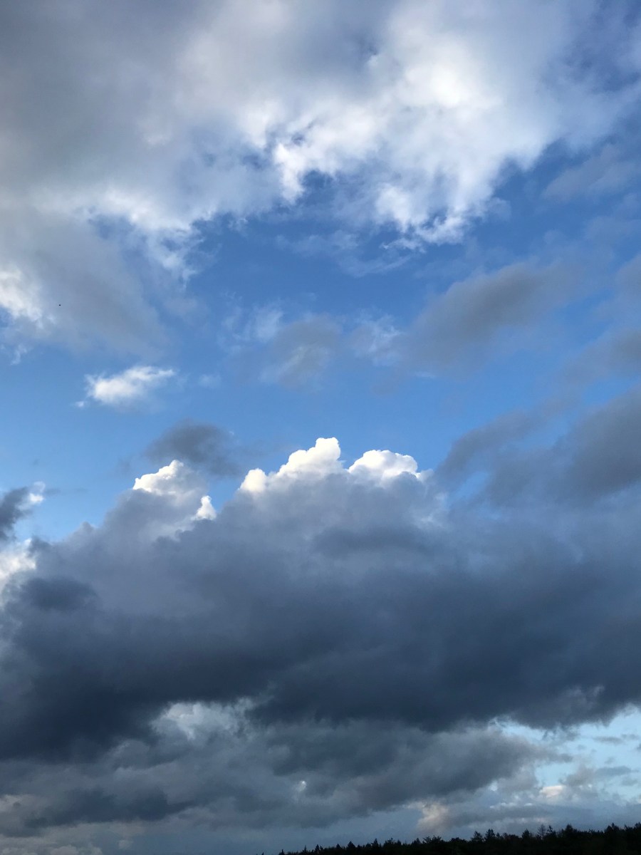 Traumpfädchen Sayner Aussichten