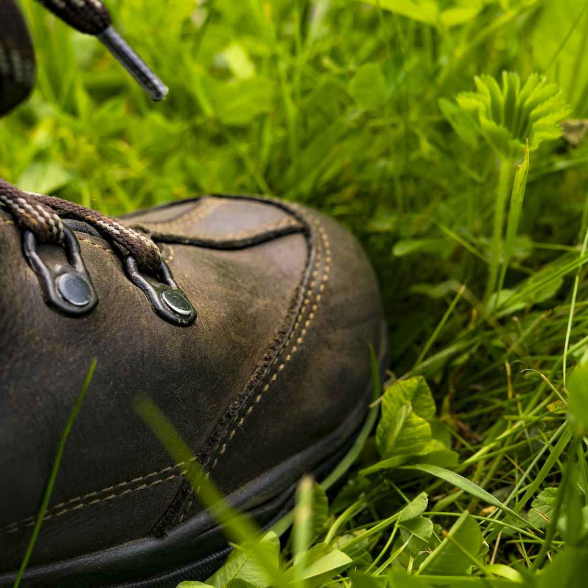 3. September 2023 | Auch dieses Jahr wieder | Die 5-Dörfer-Tour