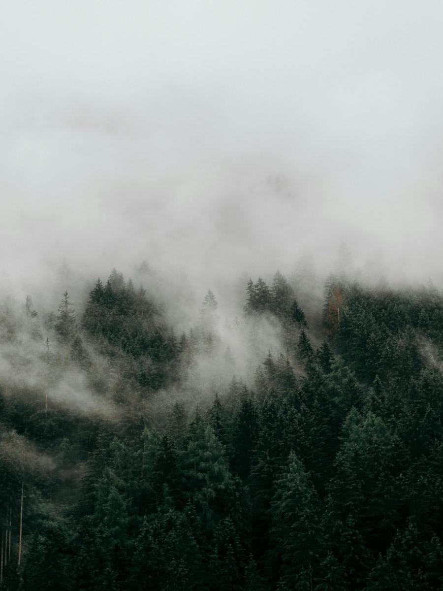 6. Januar 2025 | Ökumenisches Friedensgebet Stromberg | #oneyear