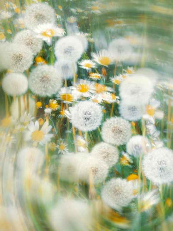 2. Juni 2025 | Ökumenisches Friedensgebet Stromberg | #sun